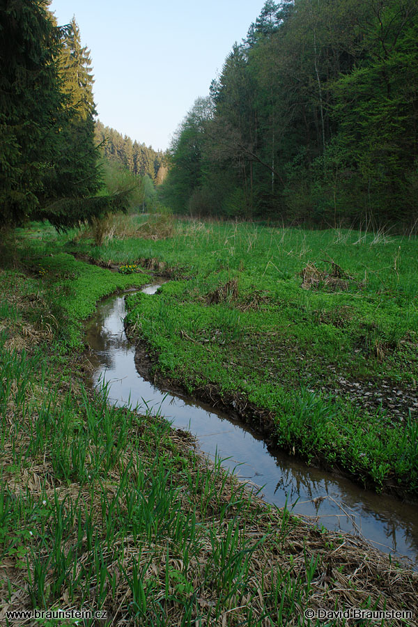 2006_0507_063819_se_skalsky_potok_udoli