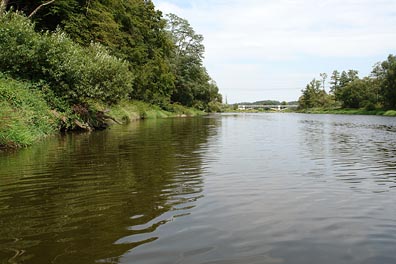 Berounka nad Dolanama